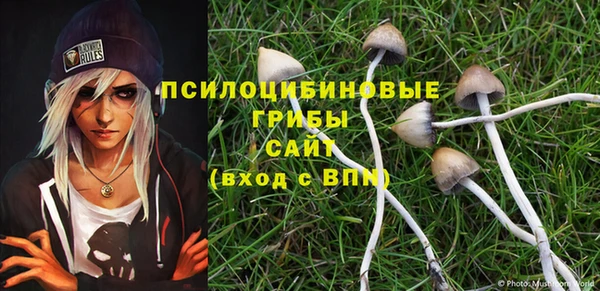прущие крисы Баксан