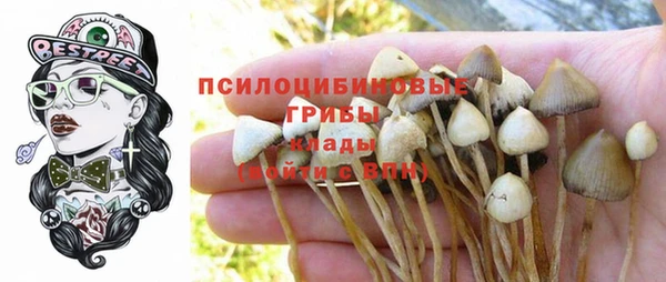 прущие крисы Баксан