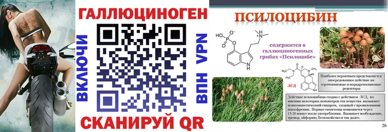OMG как войти  Калининец  Галлюциногенные грибы GOLDEN TEACHER 
